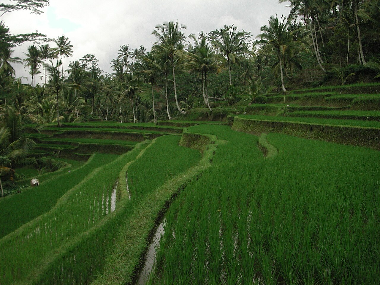 Bali, Indonesia